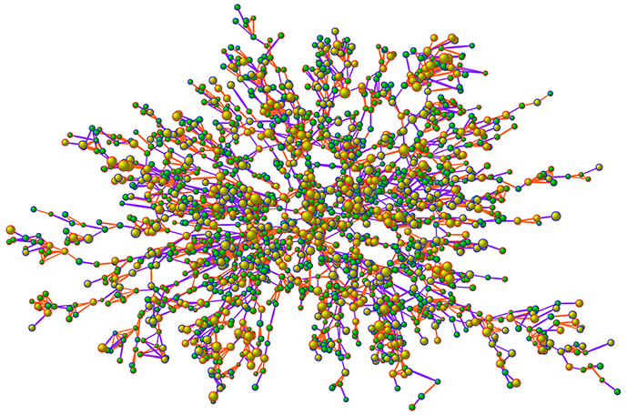 network analysis definition sociology